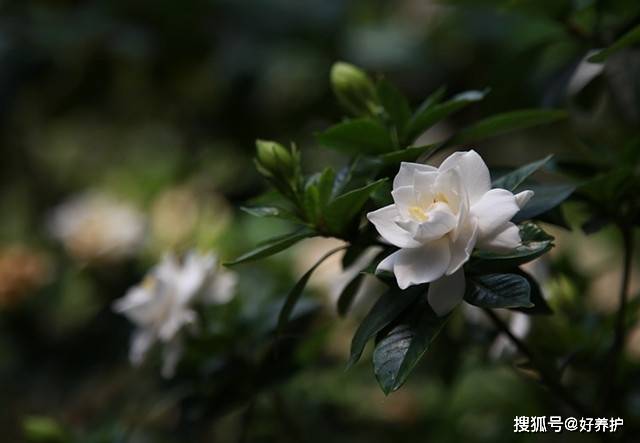 足不出户轻松打卡！镰仓动漫圣地攻略秘籍大公开