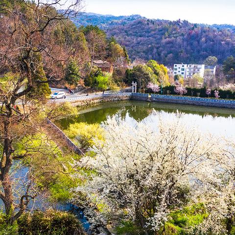 江湖悠悠60级剑术精通必备攻略，快速升级秘籍大公开