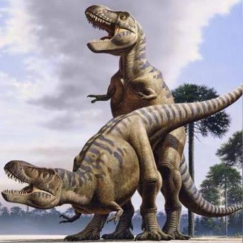 热门动物游戏盘点：揭秘十大最受欢迎的动物题材佳作