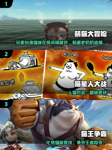 十大热门猫游戏推荐：揭秘猫咪玩家的必玩游戏清单