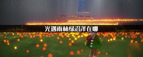 光遇雨林隐藏地图攻略：揭秘独家进入秘籍，轻松解锁新世界