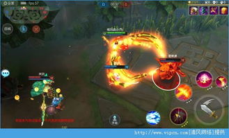 魅影再临亚姆英雄属性解析，深度技能攻略揭秘