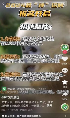 江南百景图野猪肉获取攻略：揭秘高效狩猎技巧