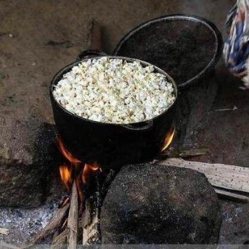 非洲之星攻略：最强蜗牛高效获取技巧揭秘