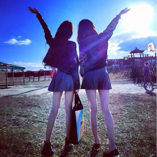 闺蜜联手攻略揭秘！轻松通关第29关，掌握独家技巧