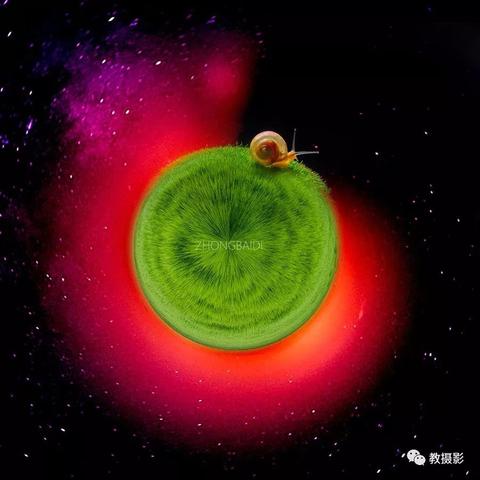 最强蜗牛形态解锁攻略：揭秘全形态开启秘籍，轻松升级！