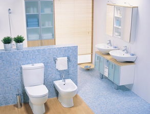 《浴室挑战》攻略揭秘：轻松通关精致浴室关，掌握隐藏技巧