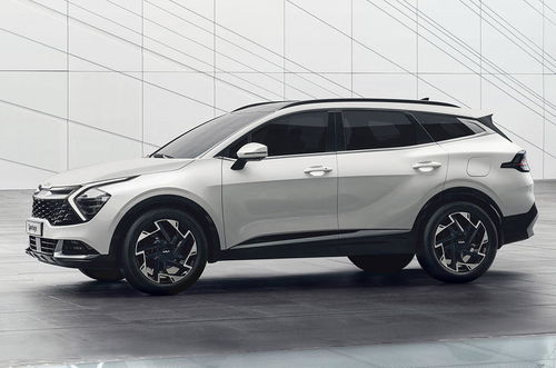 大胆出差关攻略揭秘：高效通关技巧大公开