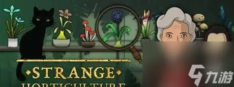 罗曼圣诞探案集第五章攻略：揭秘通关秘籍，轻松解锁第五章！