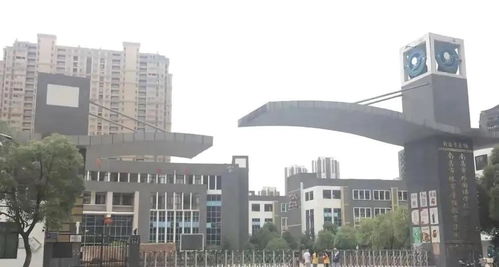 十大热门鸟游戏盘点：揭秘经典之作，不容错过的下载推荐