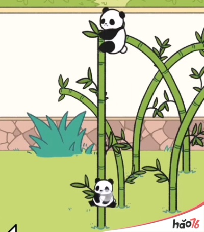 熊猫永不为奴再见饲养员第5关攻略：轻松通关秘籍大揭秘！