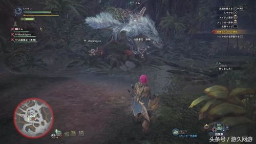 脑测2怪物猎人乔12关攻略：高效解救美女玩家必看技巧