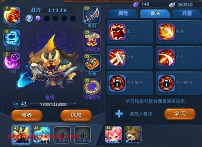 梦游无双宠物获取攻略：全面揭秘所有宠物获取技巧秘籍