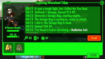 辐射避难所废土探险攻略：掌握生存秘籍，解锁废土奇遇