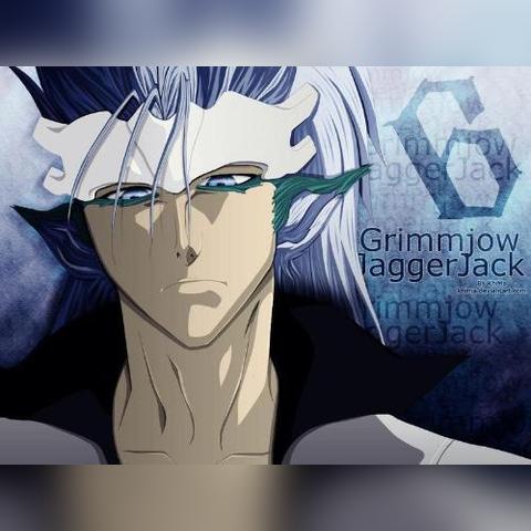 《境界灵压对决》豹王葛力姆乔深度解析：掌握最强灵压策略