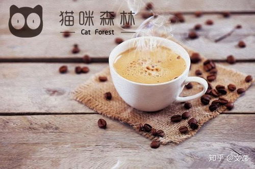 猫语咖啡皮蛋技能解析：高效提升战斗力的独家攻略揭秘