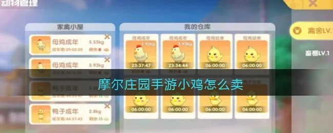 摩尔庄园手游：鸡快速出售攻略，轻松赚钱！