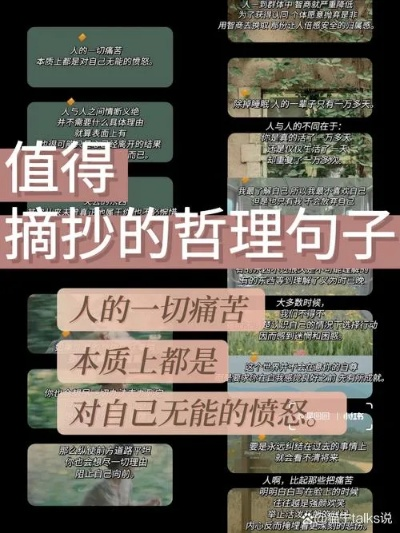 哲理游戏盘点：耐玩度爆表，十大精选哲理游戏推荐必玩