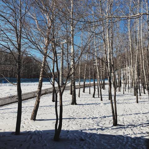 雪山派攻略秘籍：暴走英雄坛全期必看技巧解析