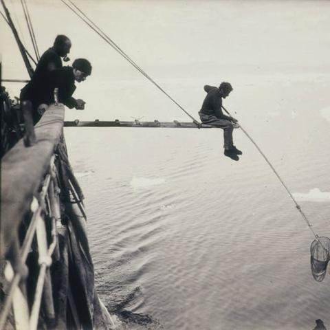 热门生物收集游戏盘点：揭秘最受欢迎的生态探险之旅