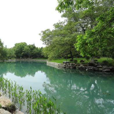 低龄热门游戏盘点：下载量飙升的儿童乐园推荐