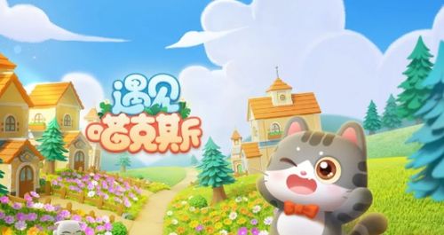 遇见猫新手必看！装修攻略，轻松打造梦幻家园秘籍