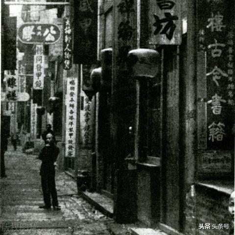 黑猫奇闻社萌新必看攻略，新手快速上手指南揭秘