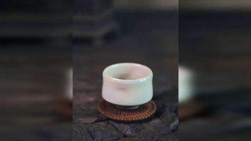 茶杯手武器解析：恶果之地独门技巧深度揭秘