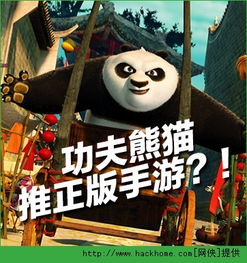 功夫喵星人阵容搭配攻略：打造最强阵容秘籍大揭秘