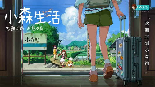 白萝卜获取攻略：小森生活高效收获技巧揭秘