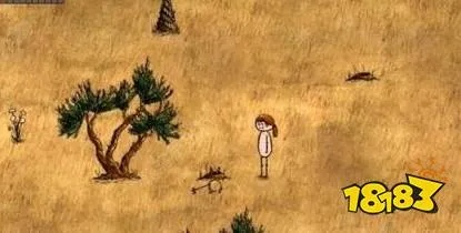 黄热病治疗攻略：揭秘希望之村高效治愈方法