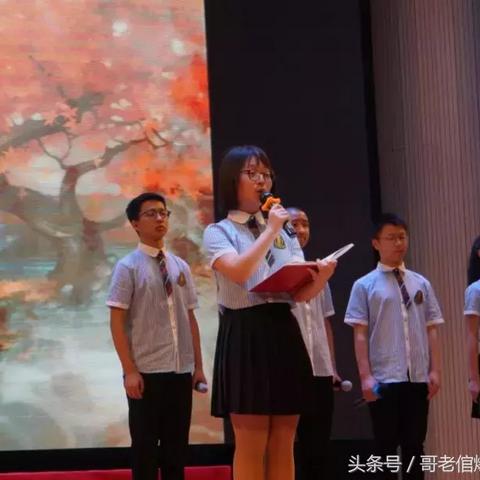 盛唐烟雨宴会攻略：深度解析必看秘籍