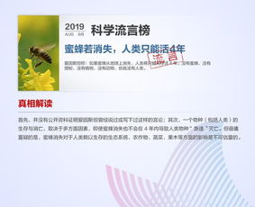 一念逍遥明目诀解析：揭秘绝版技能强度与实战价值