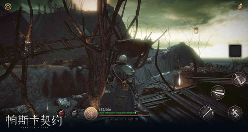 帕斯卡契约新手必看！快速进阶攻略解锁新境界