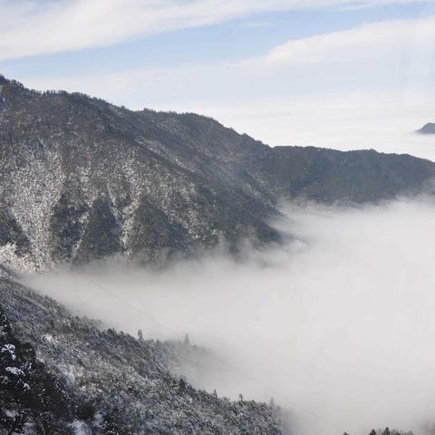 阴阳锅2同心劫第三章迷魂速通关秘籍，解锁迷魂阵破解之道