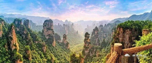 精准射击攻略：五大核心技能深度揭秘，助你一击即中