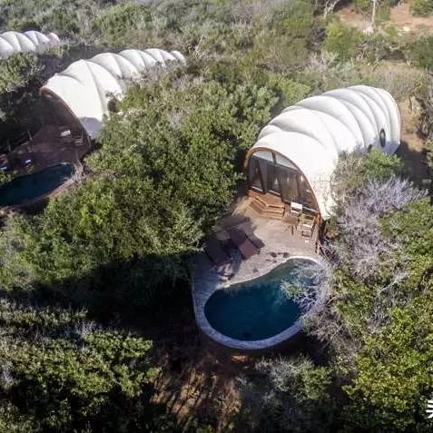 动物餐厅必看！独家揭秘摊主到访黄金时间表