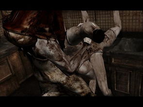 寂静岭惊爆低价抢购潮：玩家入手的是游戏还是永久使用权？