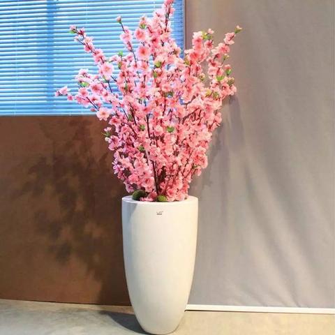 五行师王母娘娘BOSS通关秘籍：新手必看高效攻略技巧