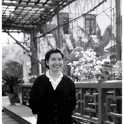 热血竞技巅峰！鲜血游戏热门排行，揭秘十大必玩佳作