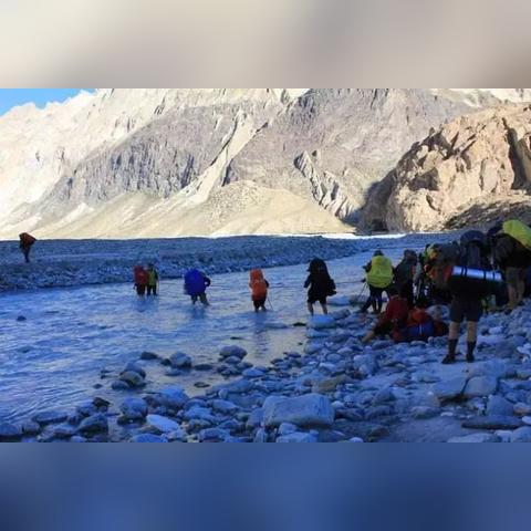 猎鹰马克异界攻略：绯梦契约猎鹰马克必胜秘籍，轻松升级！