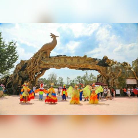 烟雨江湖凤雏老人位置揭秘：凤鸣老人坐标攻略必看