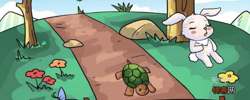 《龟兔赛跑》第19关通关秘籍：轻松赢取胜利攻略大揭秘