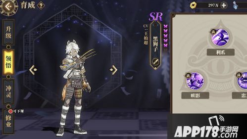 山海镜花天狐技能解析：SR级实力大揭秘，高效攻略攻略必备