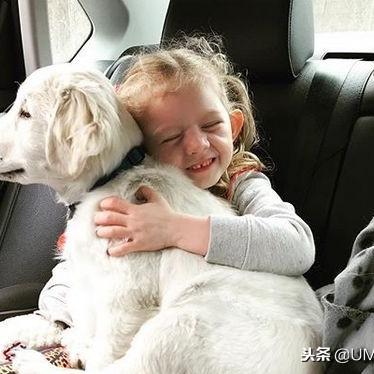 解锁古老爆米花攻略：揭秘动物餐厅独特获得方法！