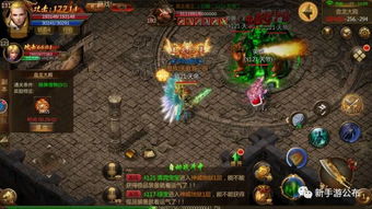 俯视射击游戏盘点：热门下载排行，不容错过的射击盛宴