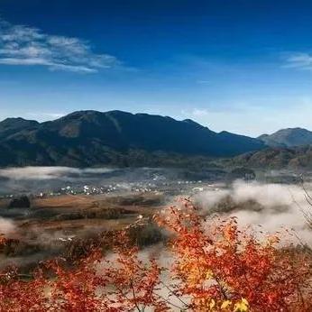 冲鸭原始人攻略：高效技能搭配与升级技巧揭秘