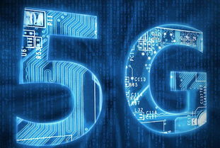 脑洞大师209关禁言攻略：高效通关秘籍大揭秘