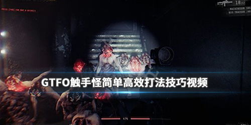 脑洞大师204关通关攻略：揭秘高效技巧，轻松解锁隐藏关卡