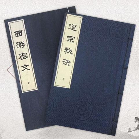 觅长生筑基丹秘制配方大揭秘：独家材料攻略，助你快速升级！